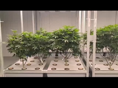 온실 에어로폰닉 수식 시스템